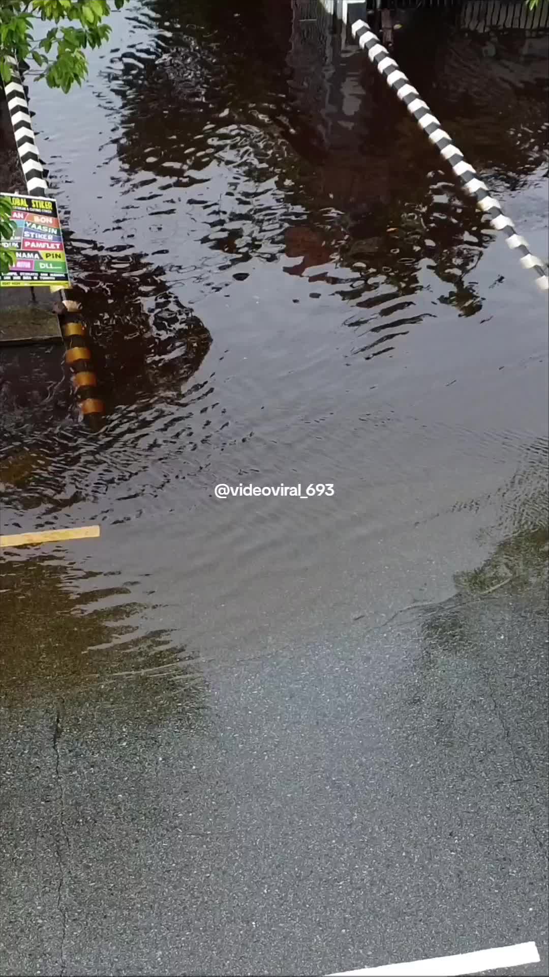 @Videoviral_693