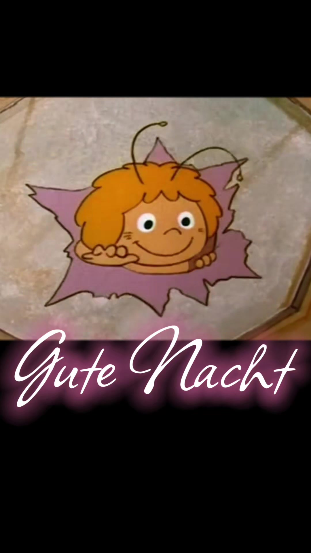 @zahnzaubermaeuschen