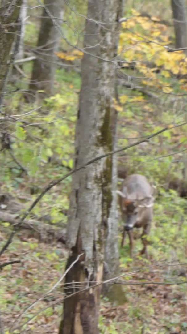 @Tactical Approach Outdoors LLC