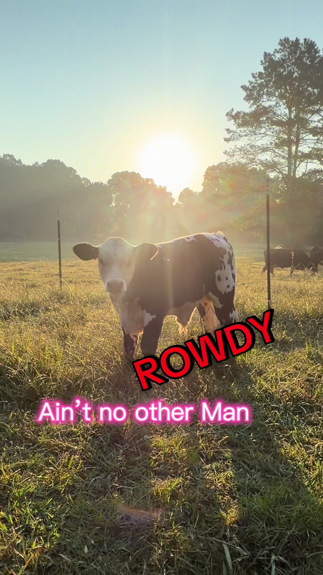 @Georgia Farm Girl