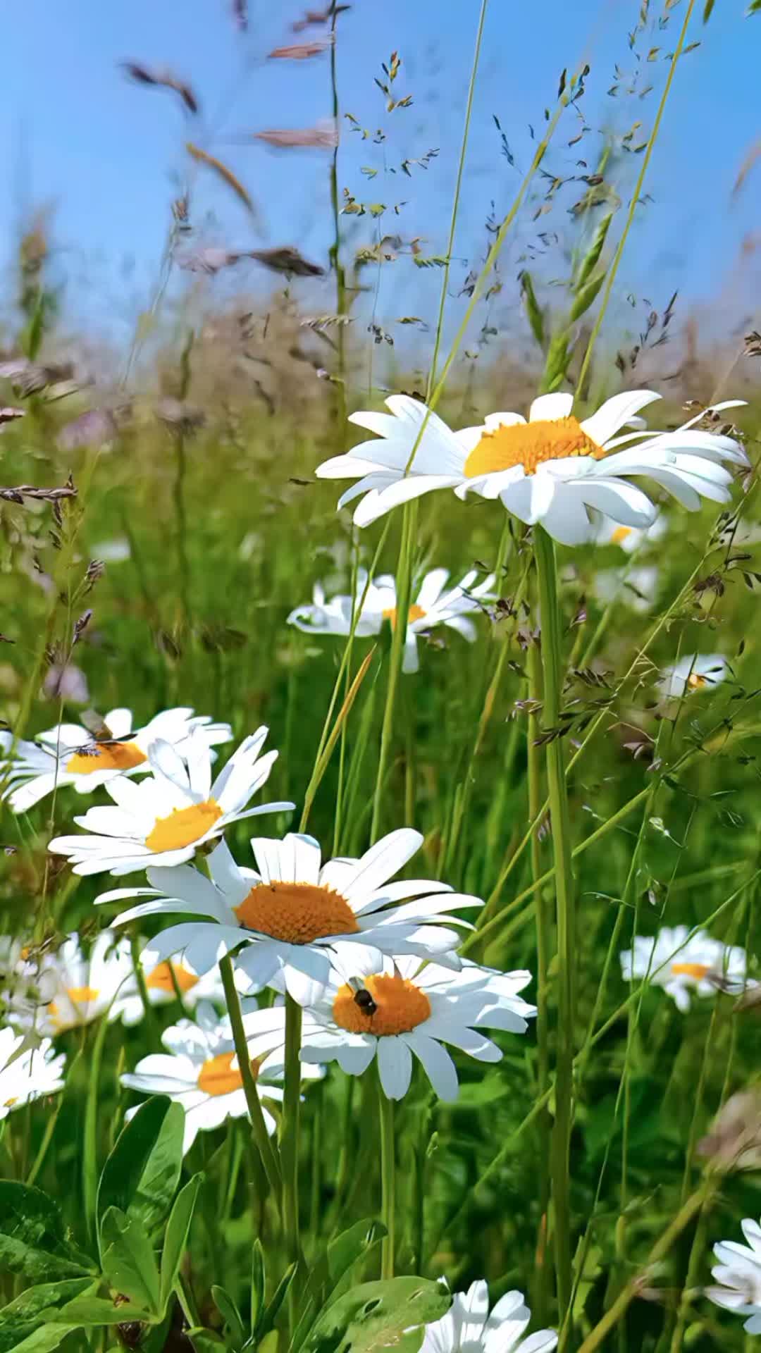 @user1675550211969