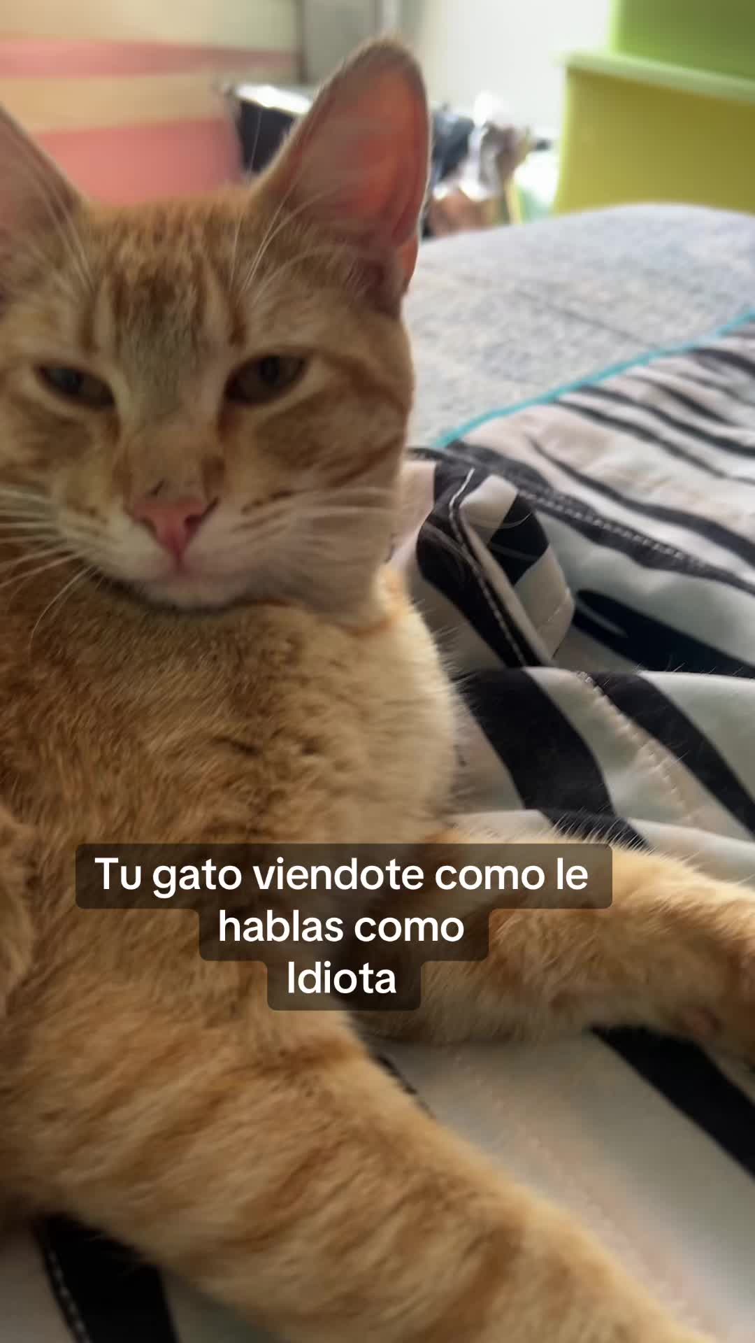 @verotallica