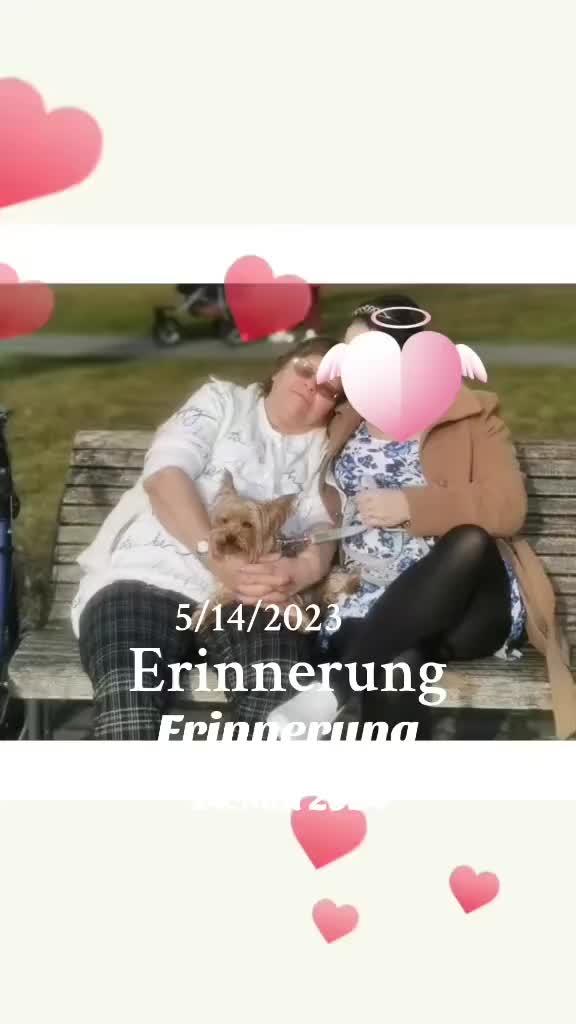 @🦄🍭Einhornpflege🍌🍑🤷🏻♂