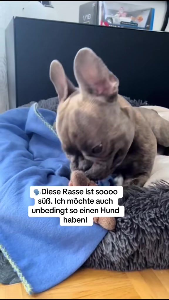 @Der Bommelboss &hearts;️
