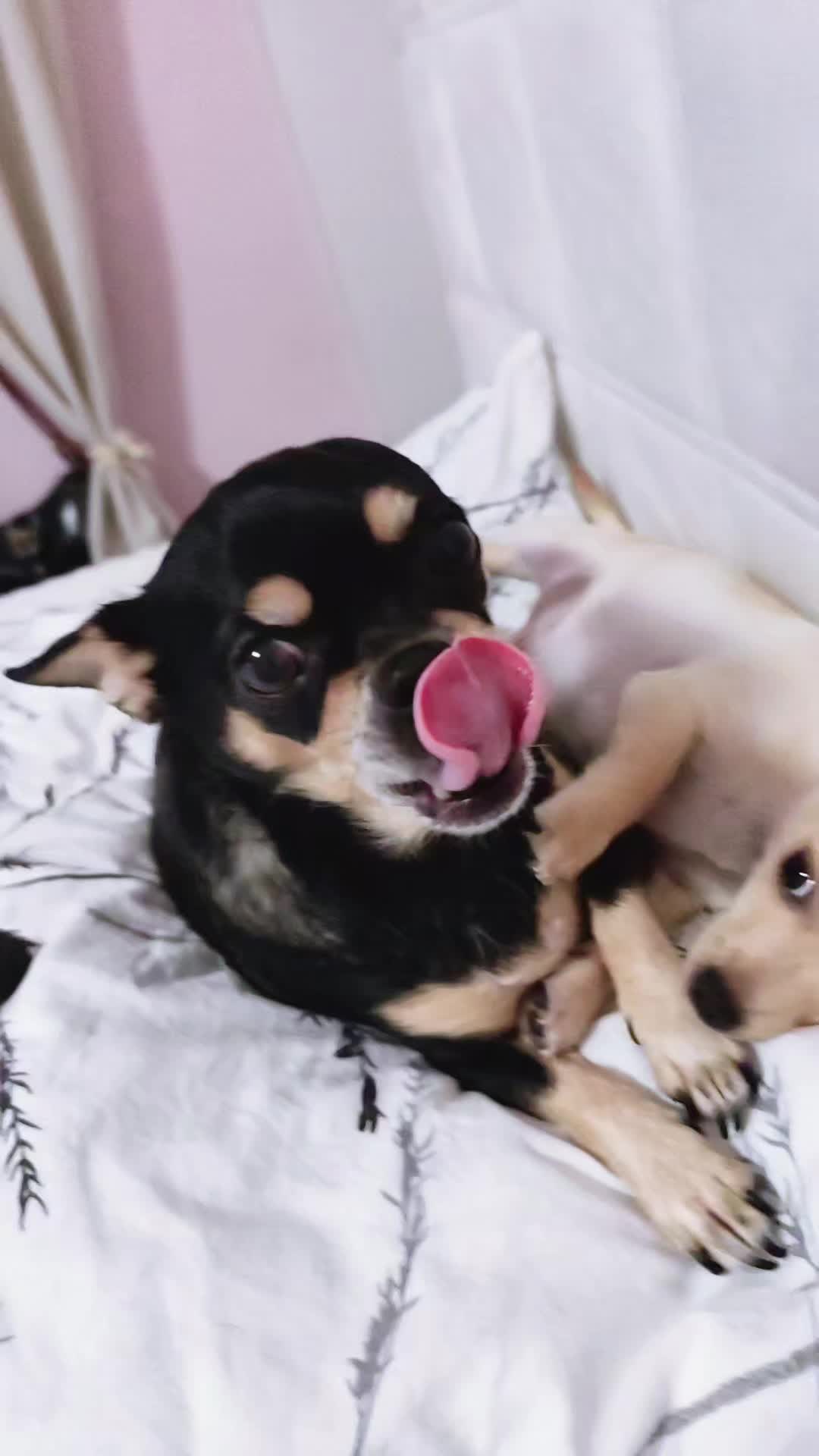 @๐บ๊ฅ๐บ ๐๐จ๐ฏ๐_๐๐ข๐ฑ๐ข ๐บ๊ฅ๐บ