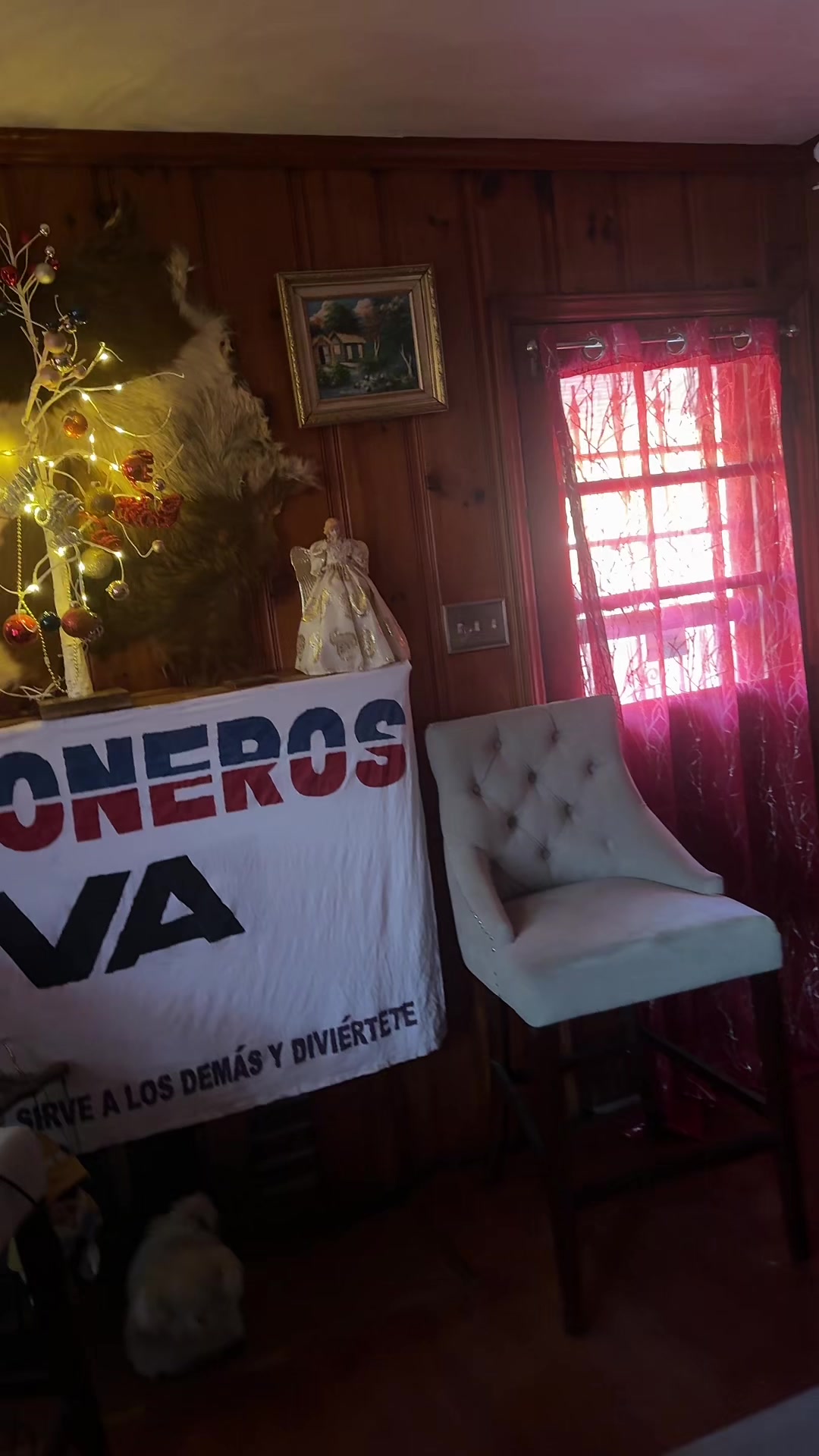 @Nbv bohemio official