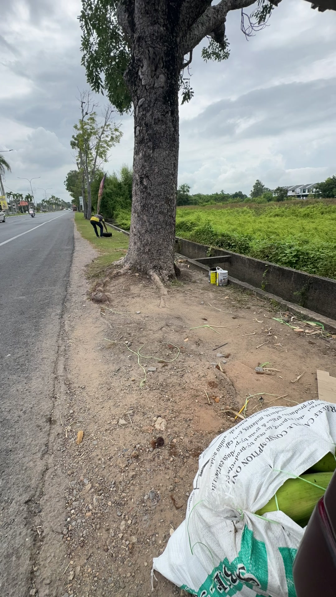 @🌽 Jagung Jalanan 🌽