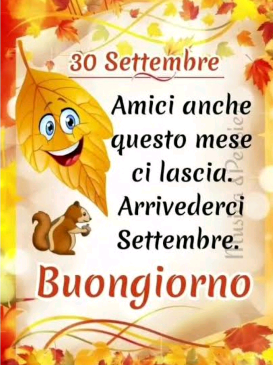 @pinamiano795