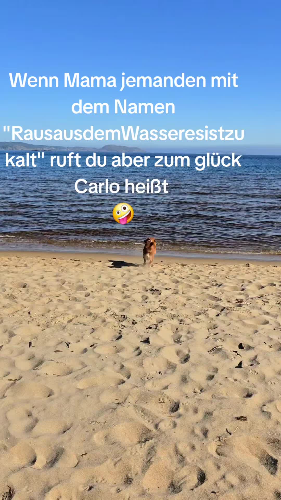 @❤Carlo ❤️
