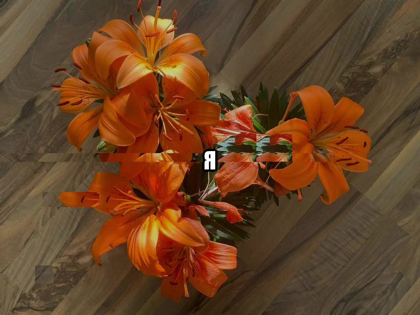 @звуки для липсингов