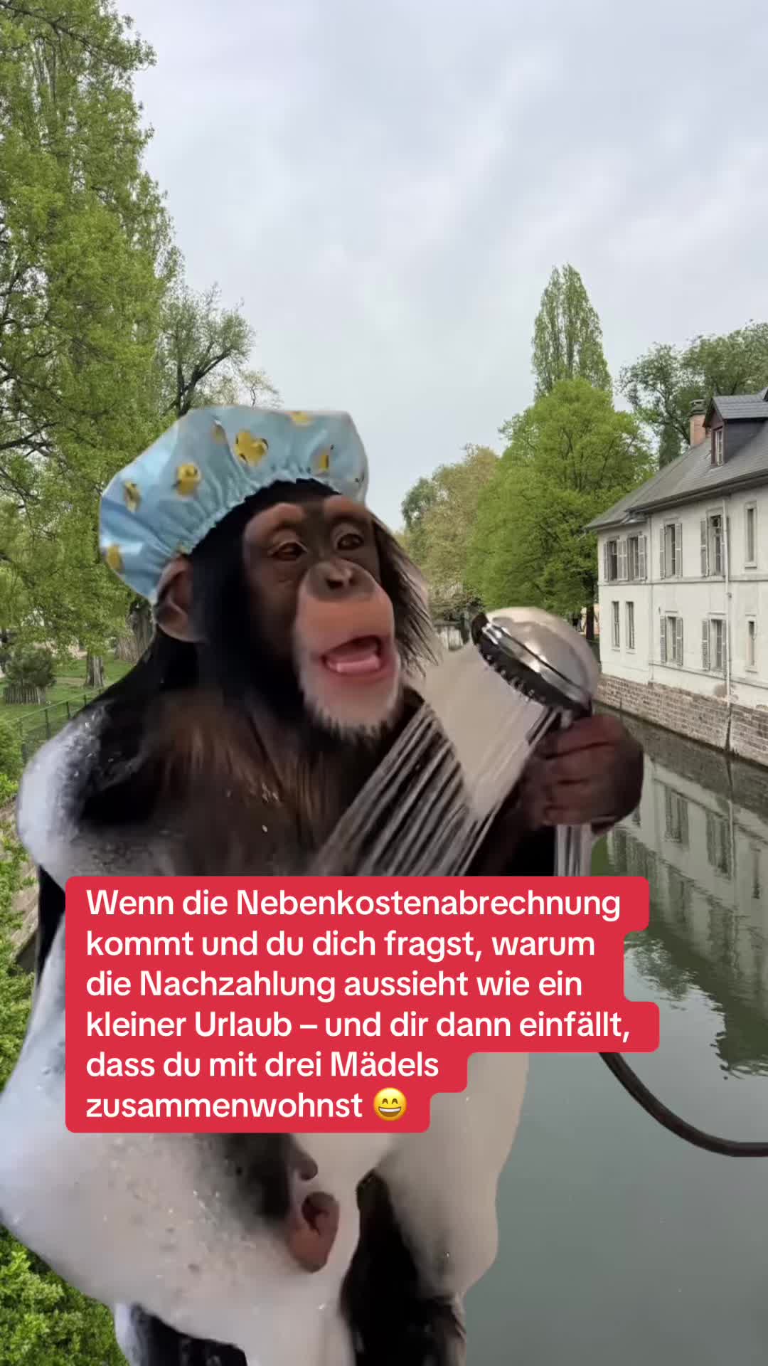 @Professor Lifehack