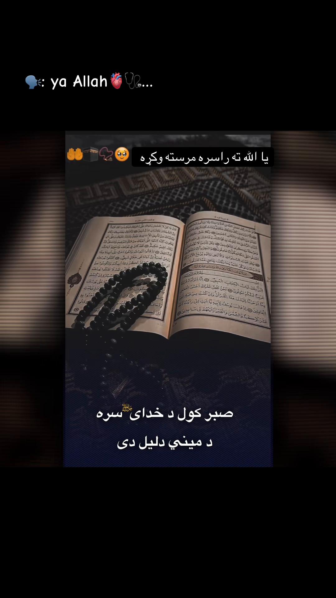 @👑🩺~Jannat~🤍🦋🇺🇸