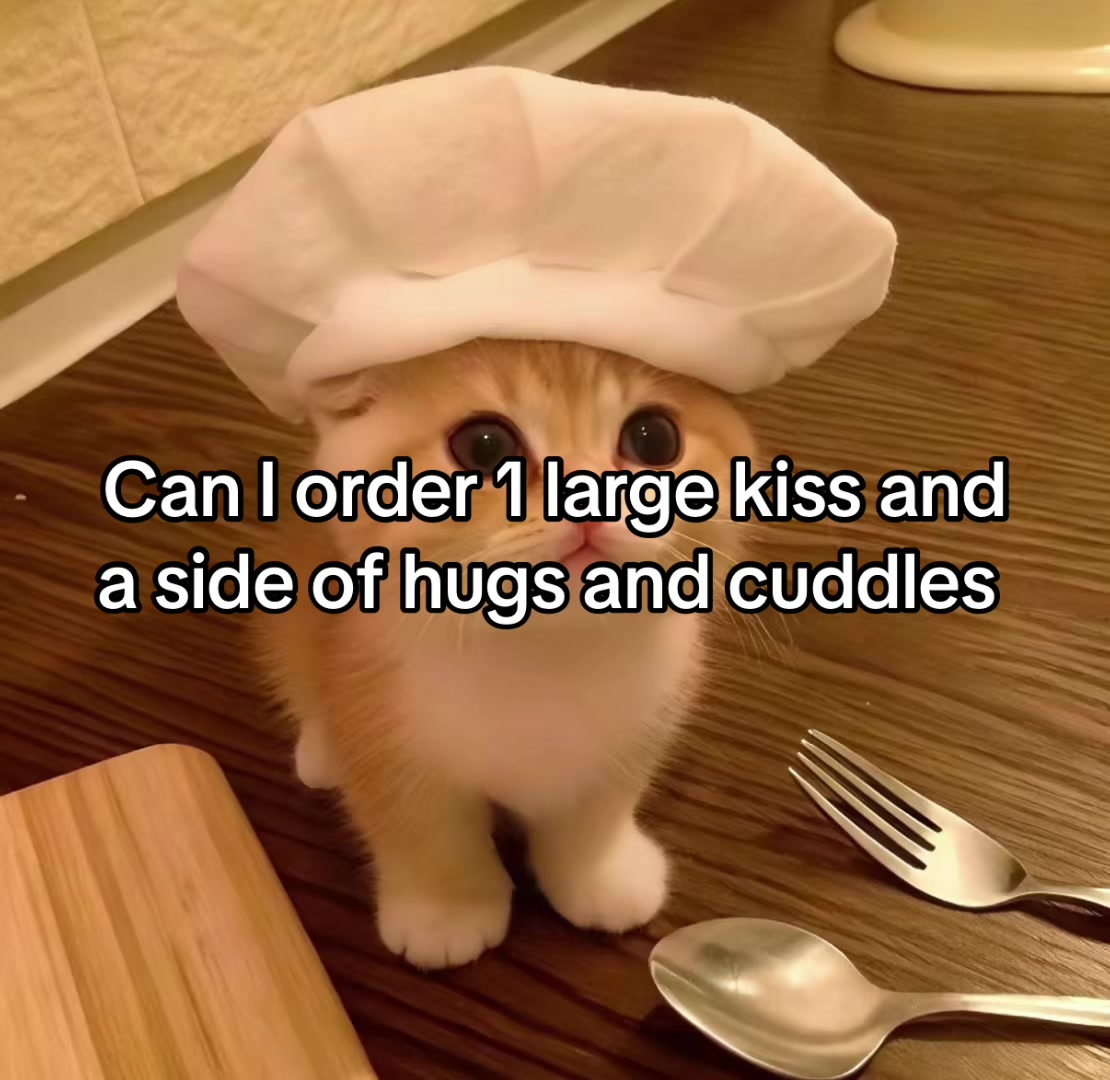 @LavanderCat