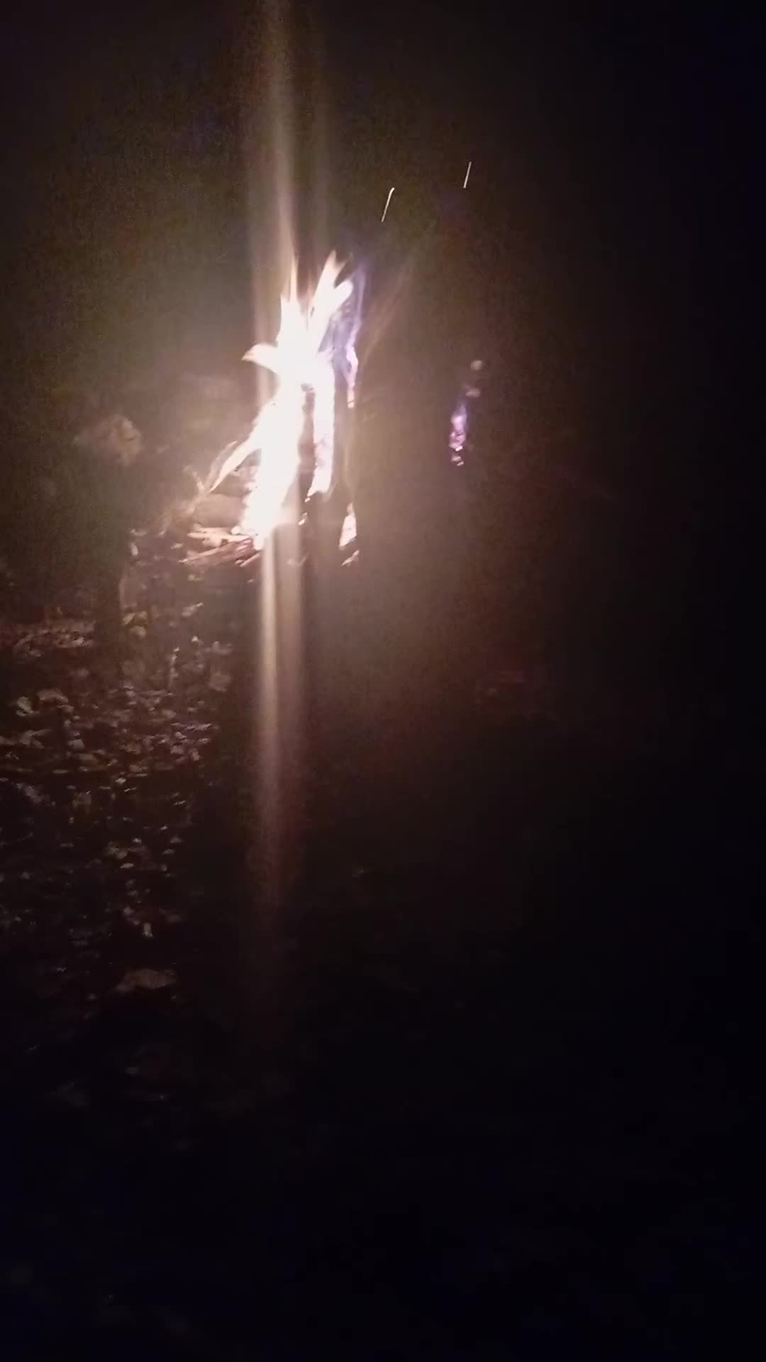 @король лев