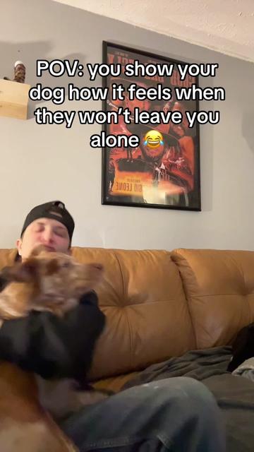 @dvan_55