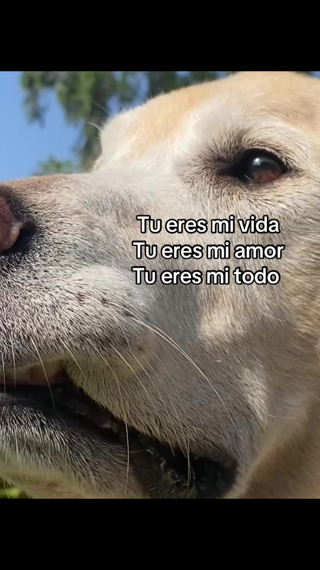 @Sandra R. 🍒