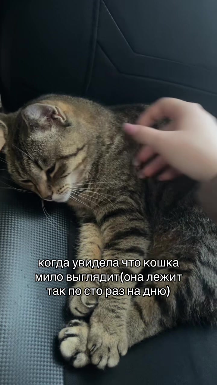 @лакрица𝝑୧