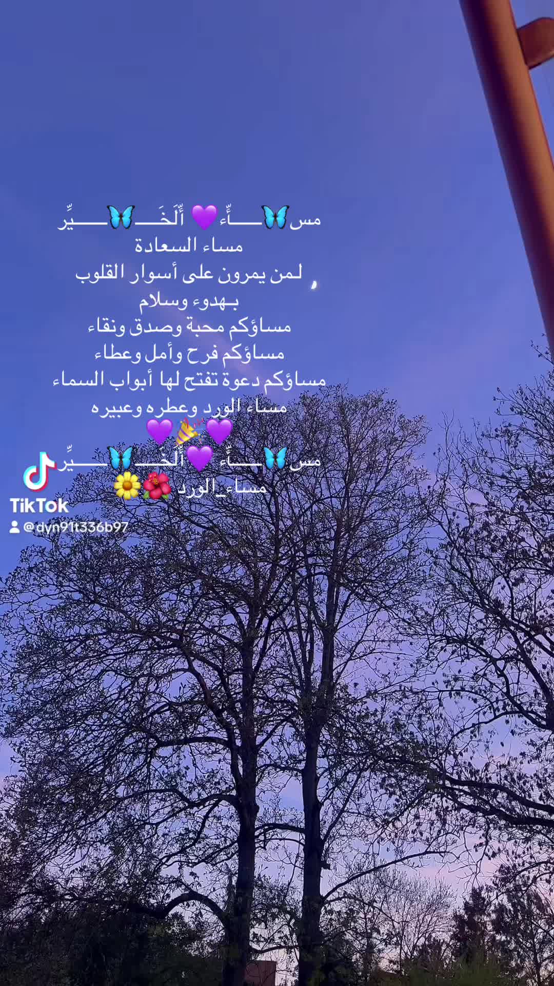 @❤️Mila❤️