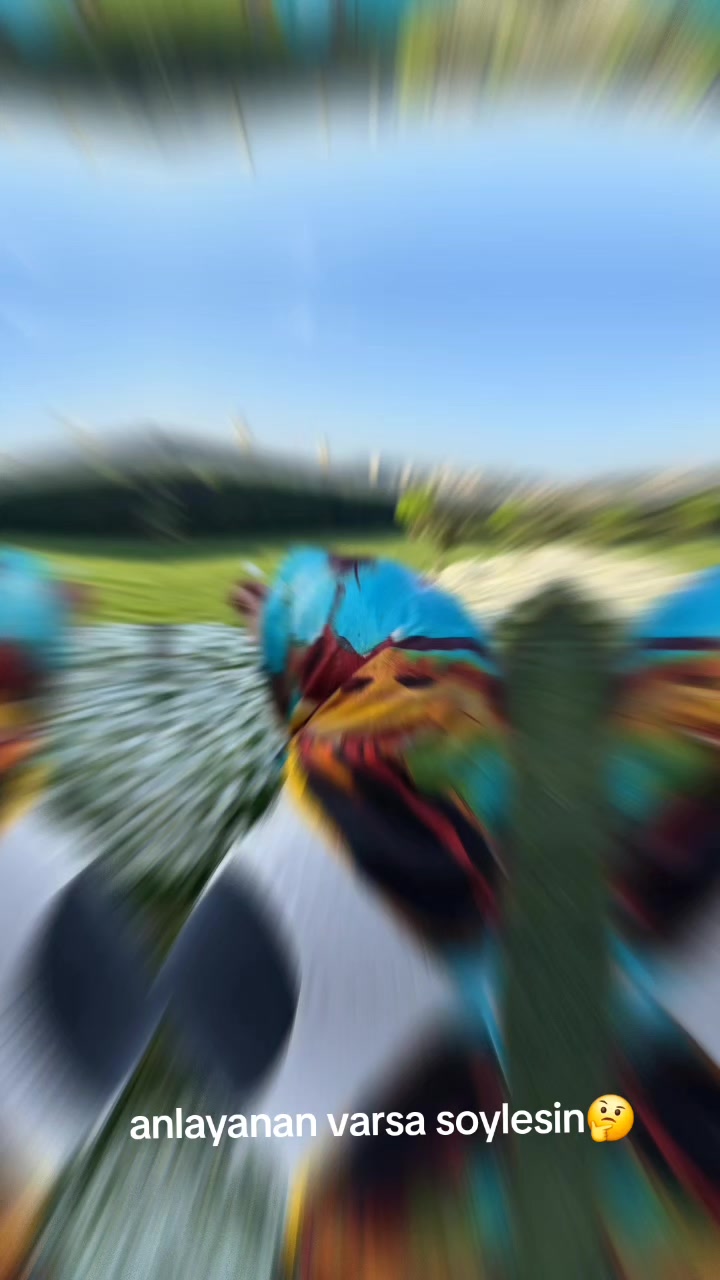 @🐞𝘎𝘪𝘻𝘦𝘮𝘭𝘪 𝘏𝘢𝘵𝘶𝘯🦋