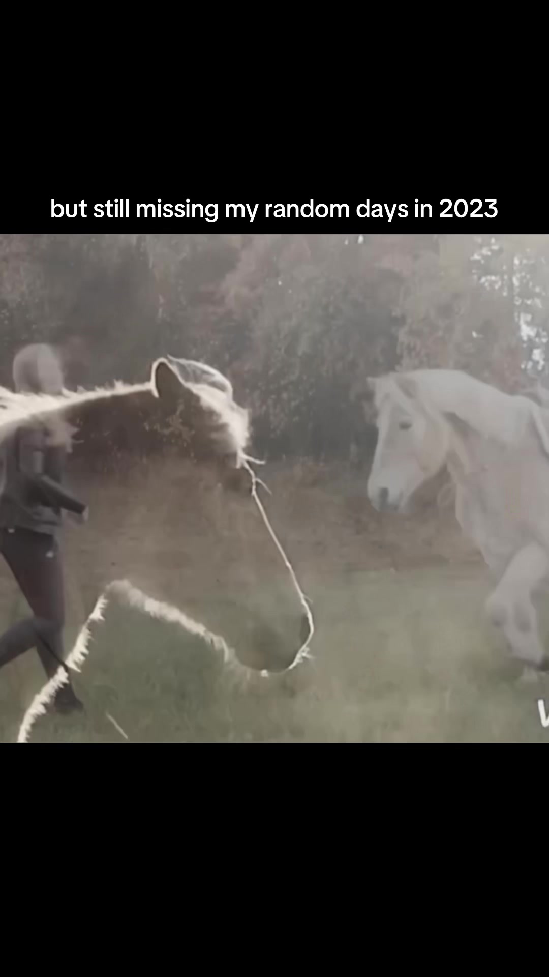 @FieryHorses ❤️&zwj;🔥