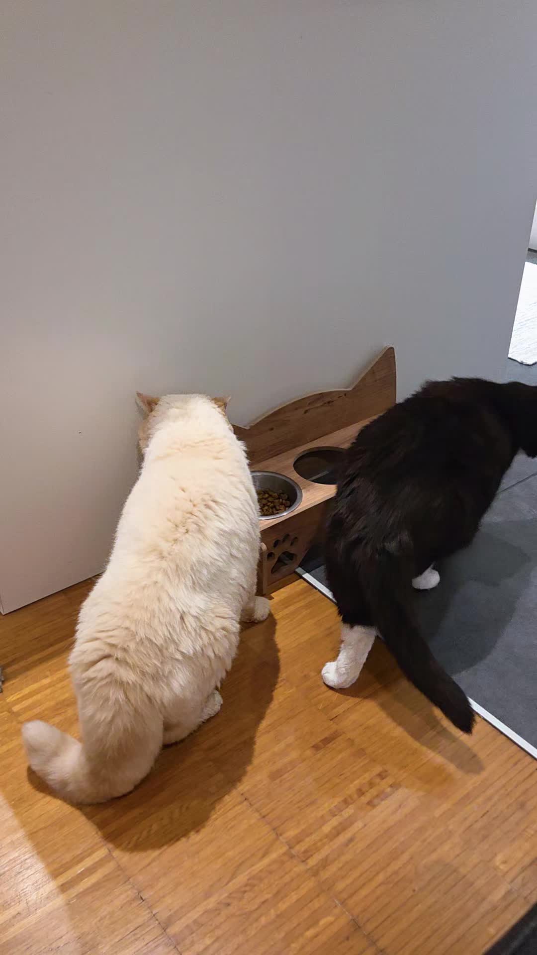 @Magdalena róża Poland 🌹🥀