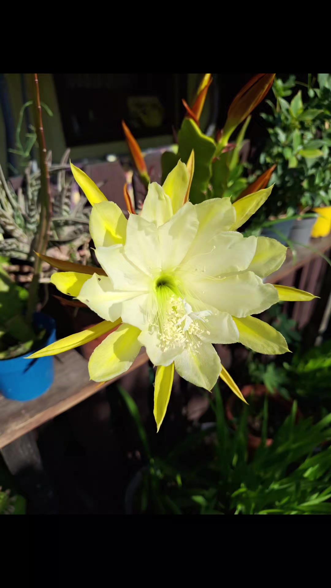 @Natur und Garten