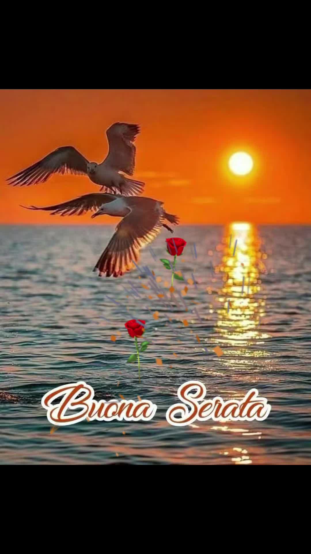 @Giulia