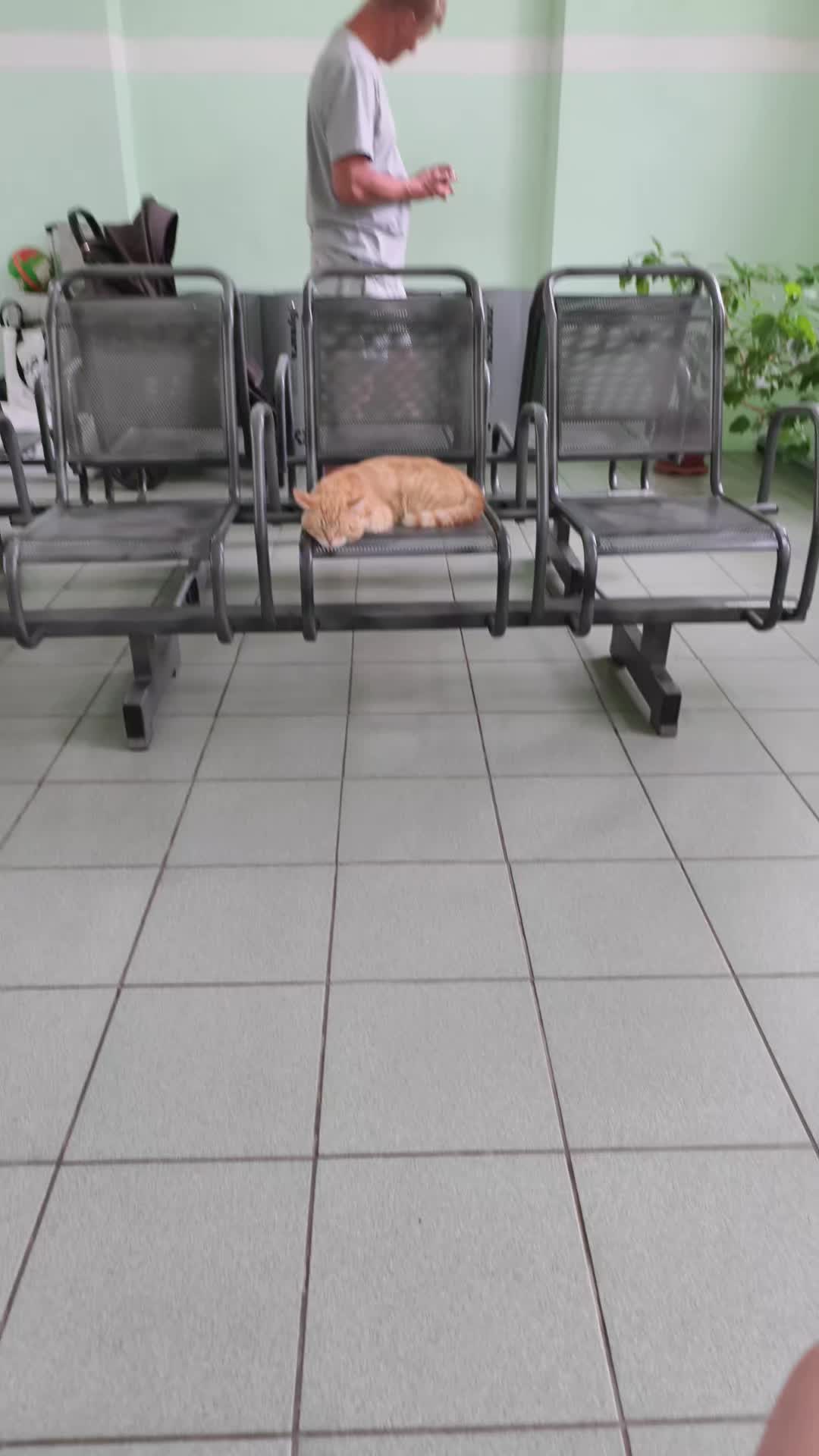 @ʇɹɐƃƃǝɹʍɐƃ³⁷