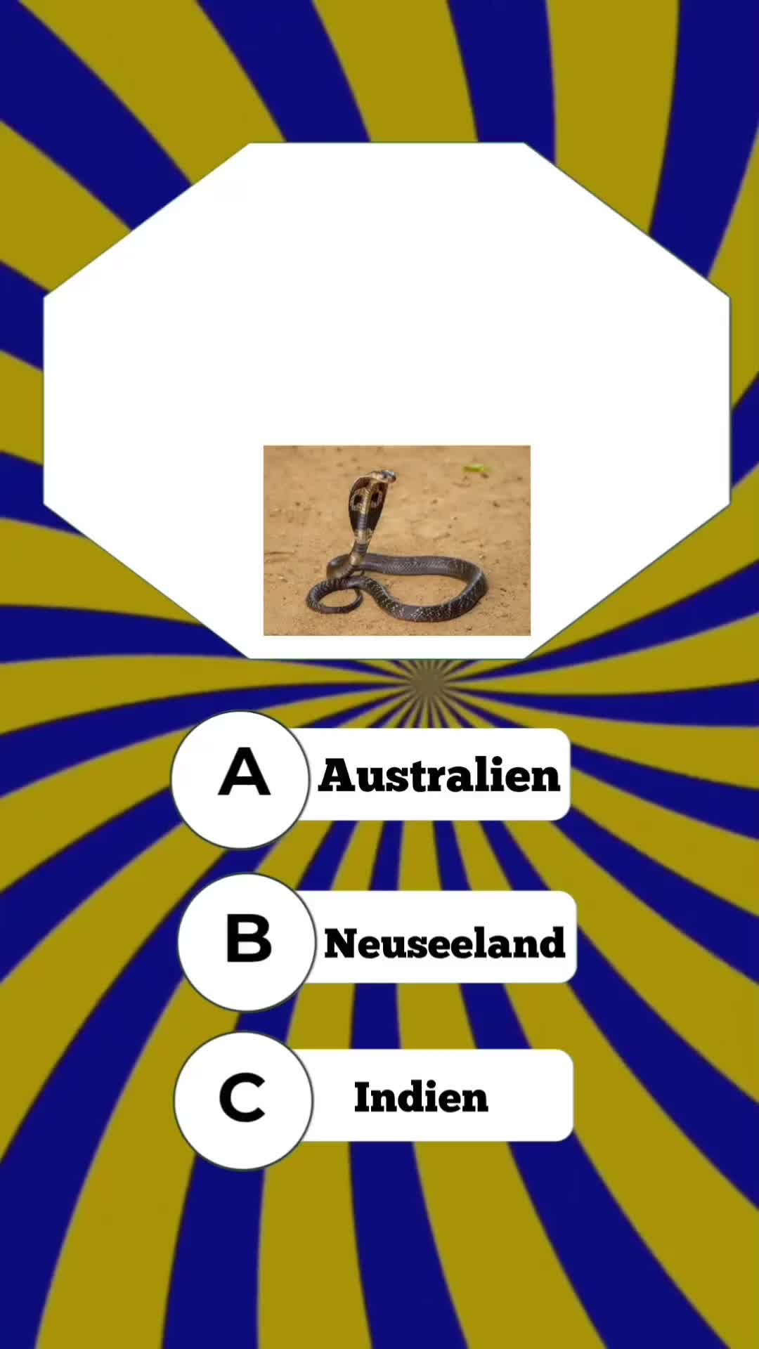 @DailyQuizMaster