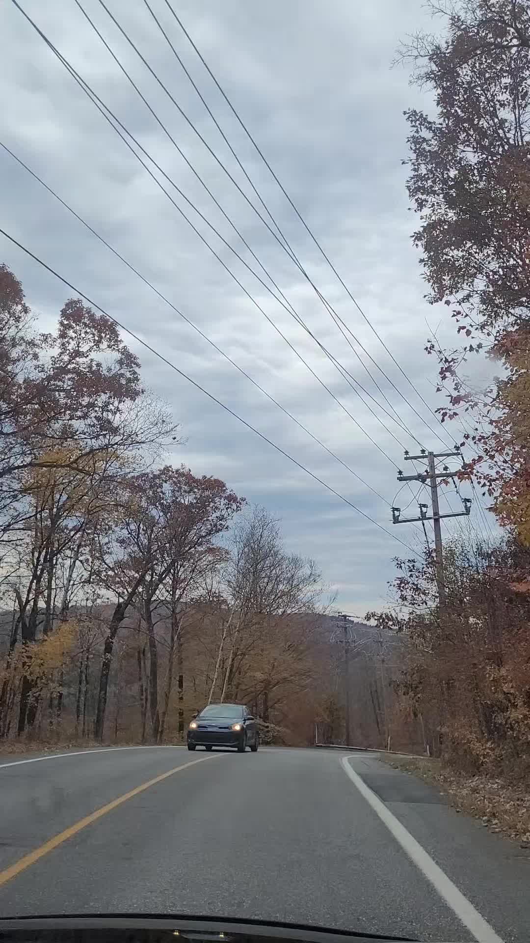 @jihene