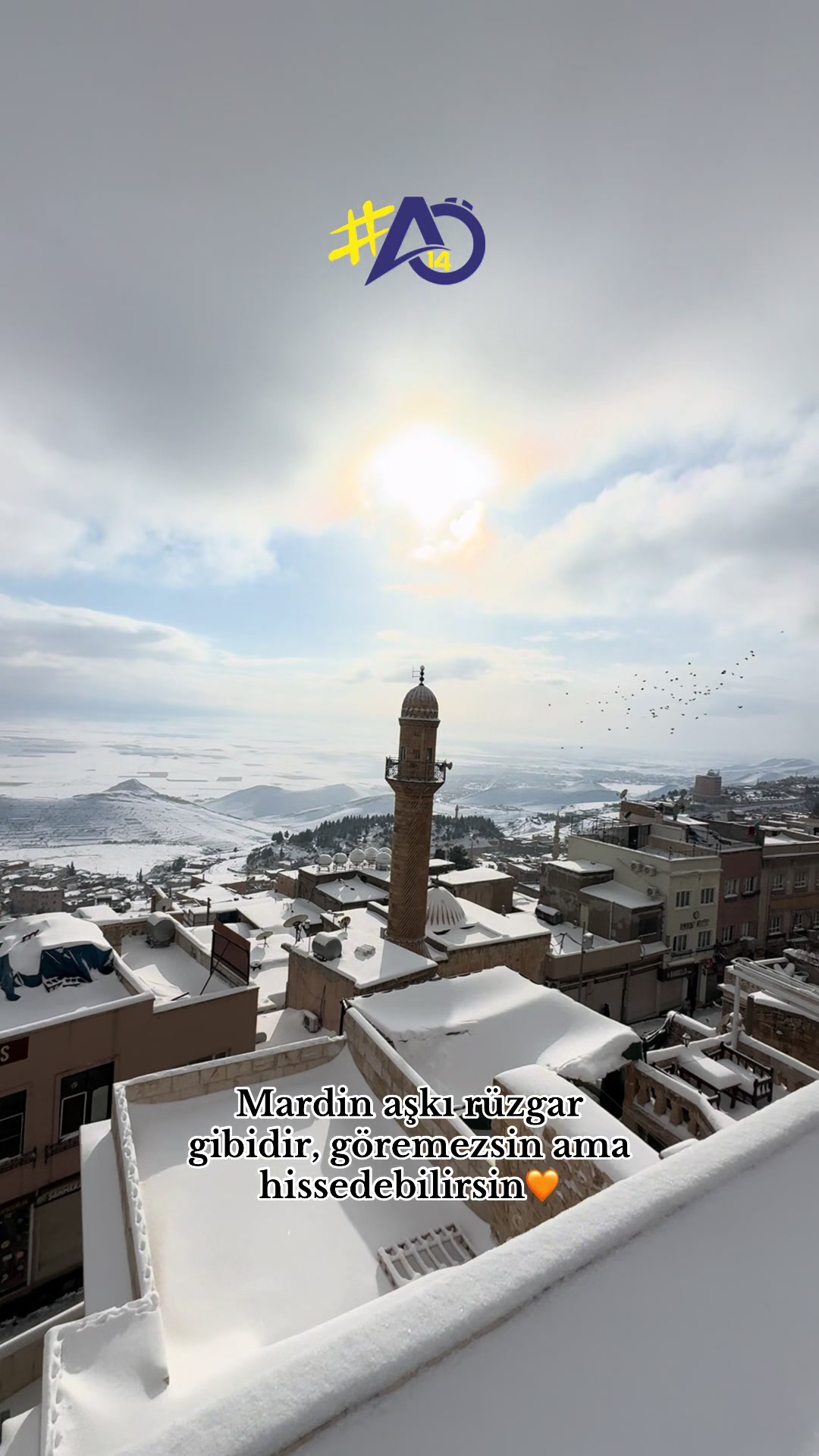 @alaaddin.14