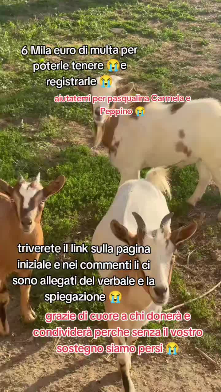 @KIRA❤️LEYLA💙