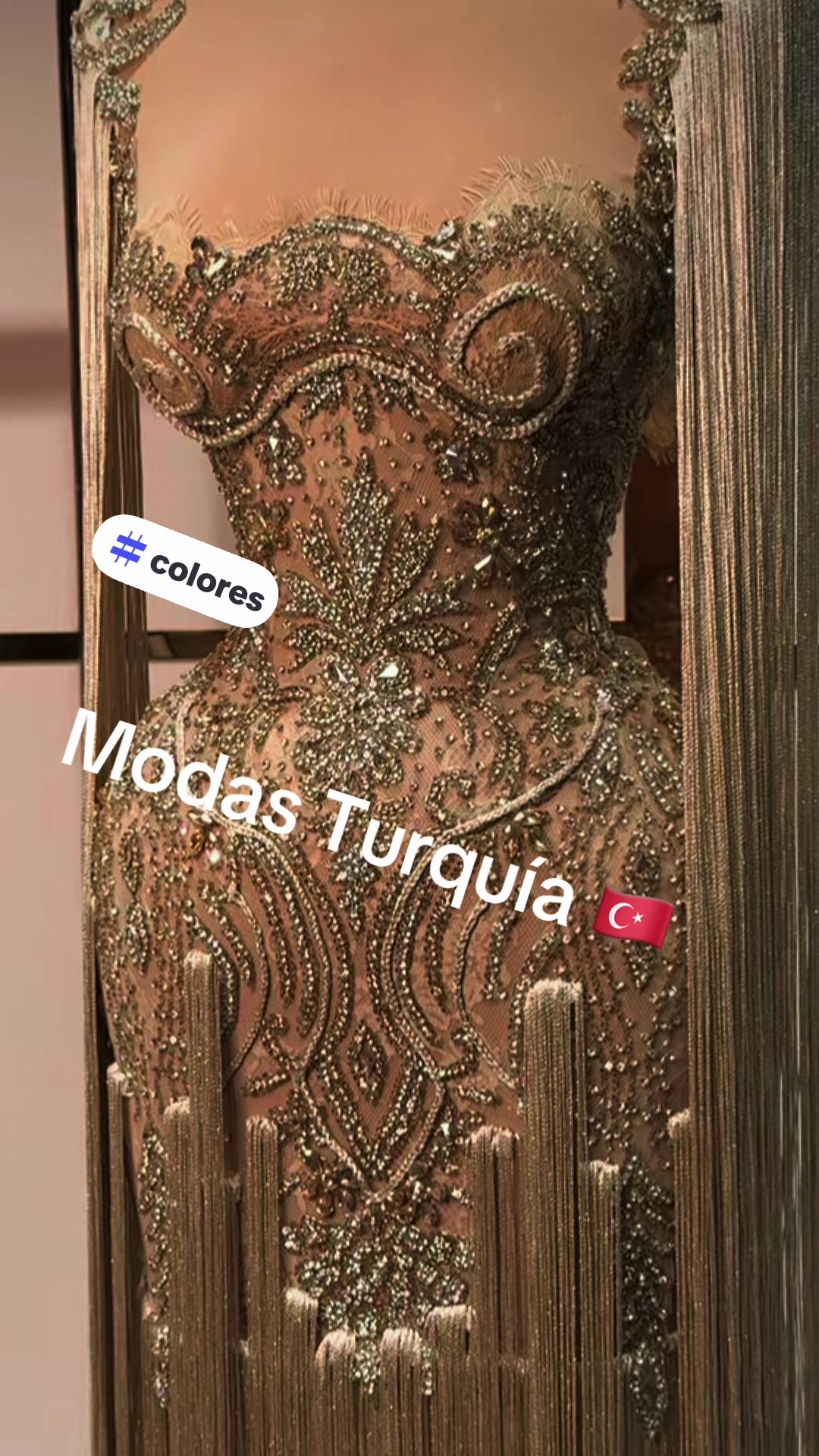 @bibicontreras