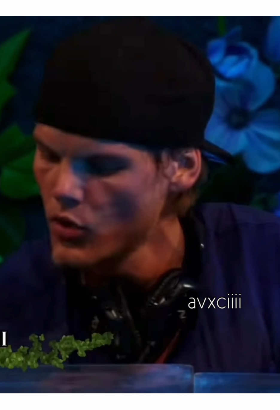 @avicii fan