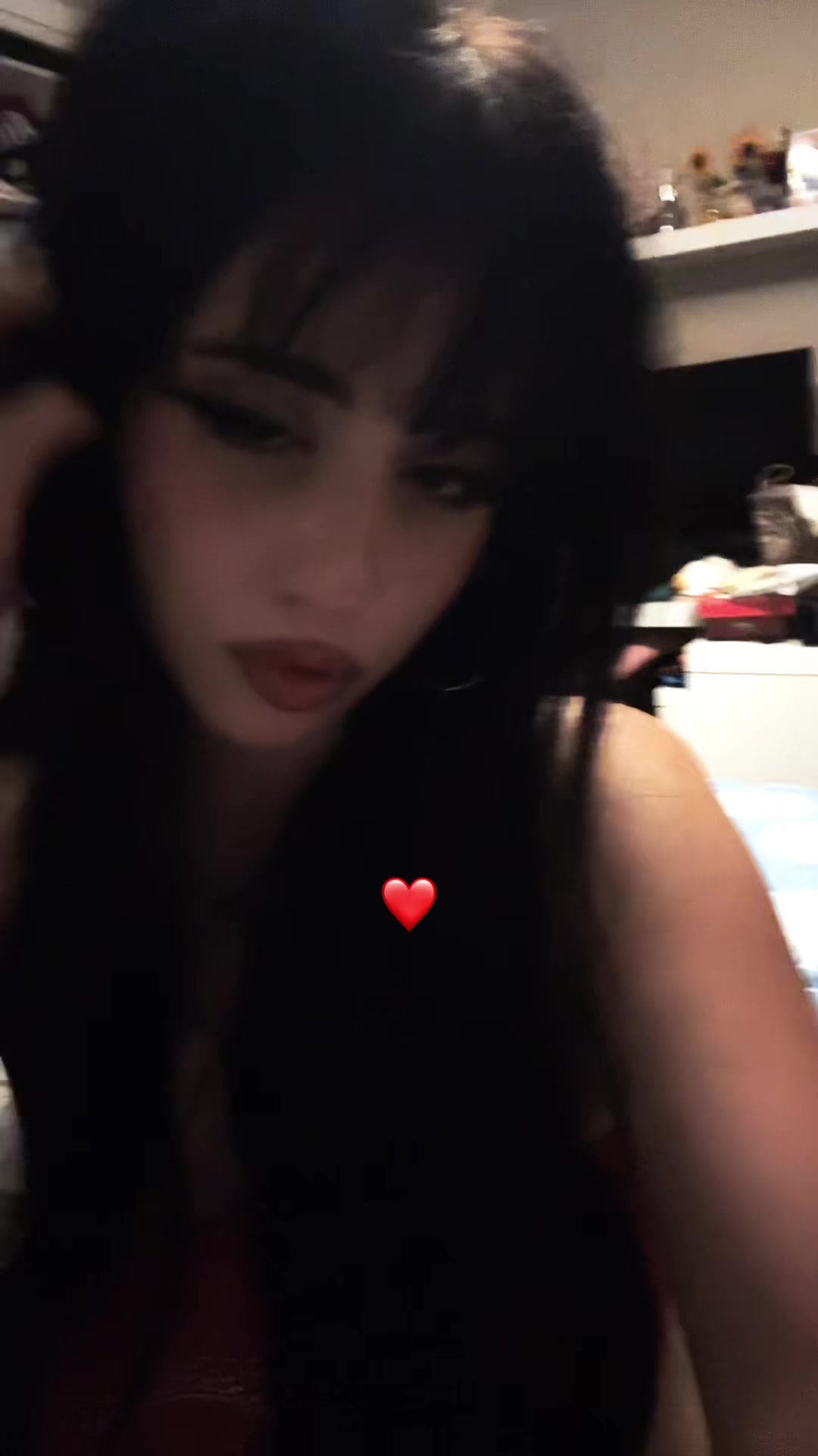 @chatdinosaure