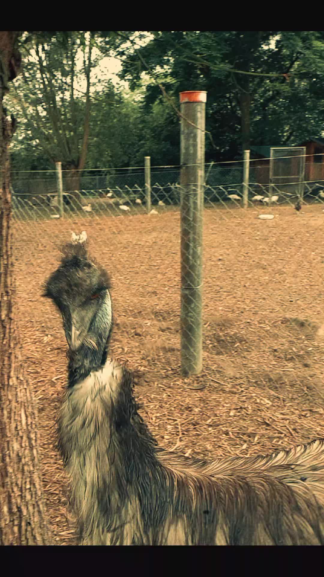 @🦚🆃𝓲𝓮𝓻🅿𝓪𝓻𝓴🆃𝓸𝓴🦚