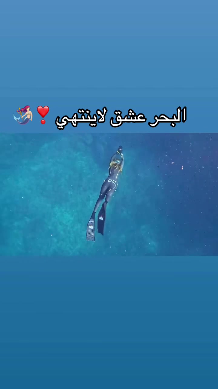 @Diver_girl 🧜♀️🩵