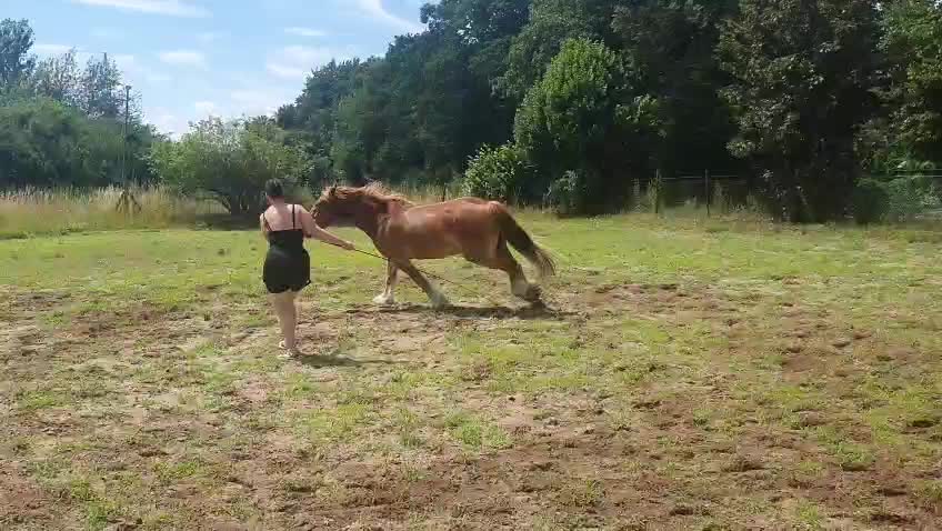 @Ride & Rescue