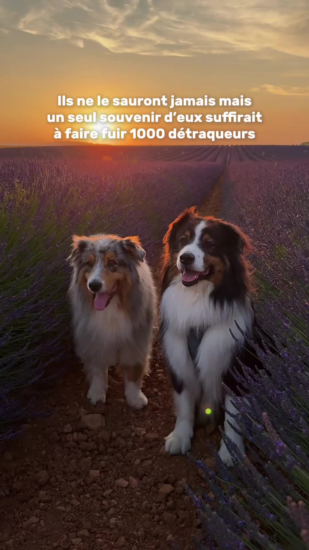 @La Patt&rsquo;Enchant&eacute;e