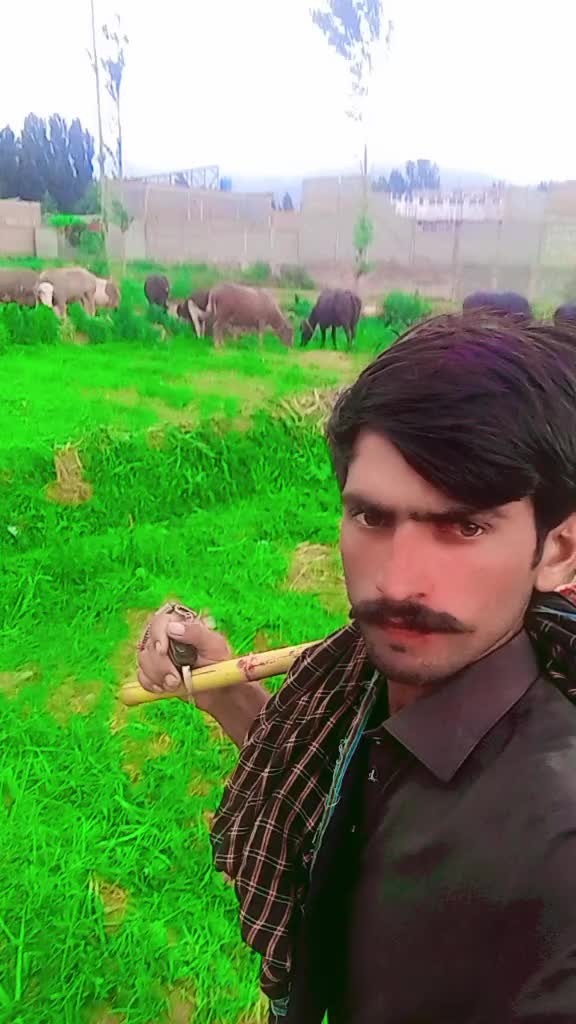@ASAD Sarkar123