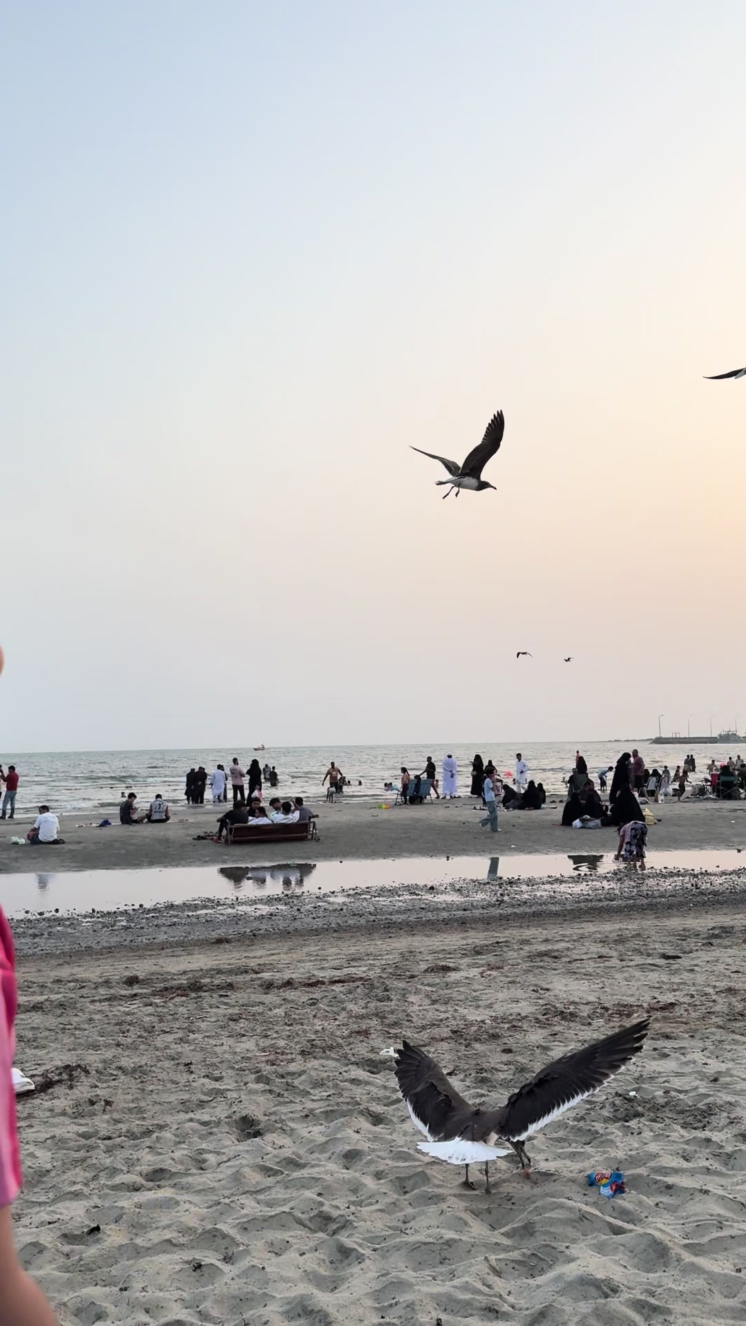 @كنان