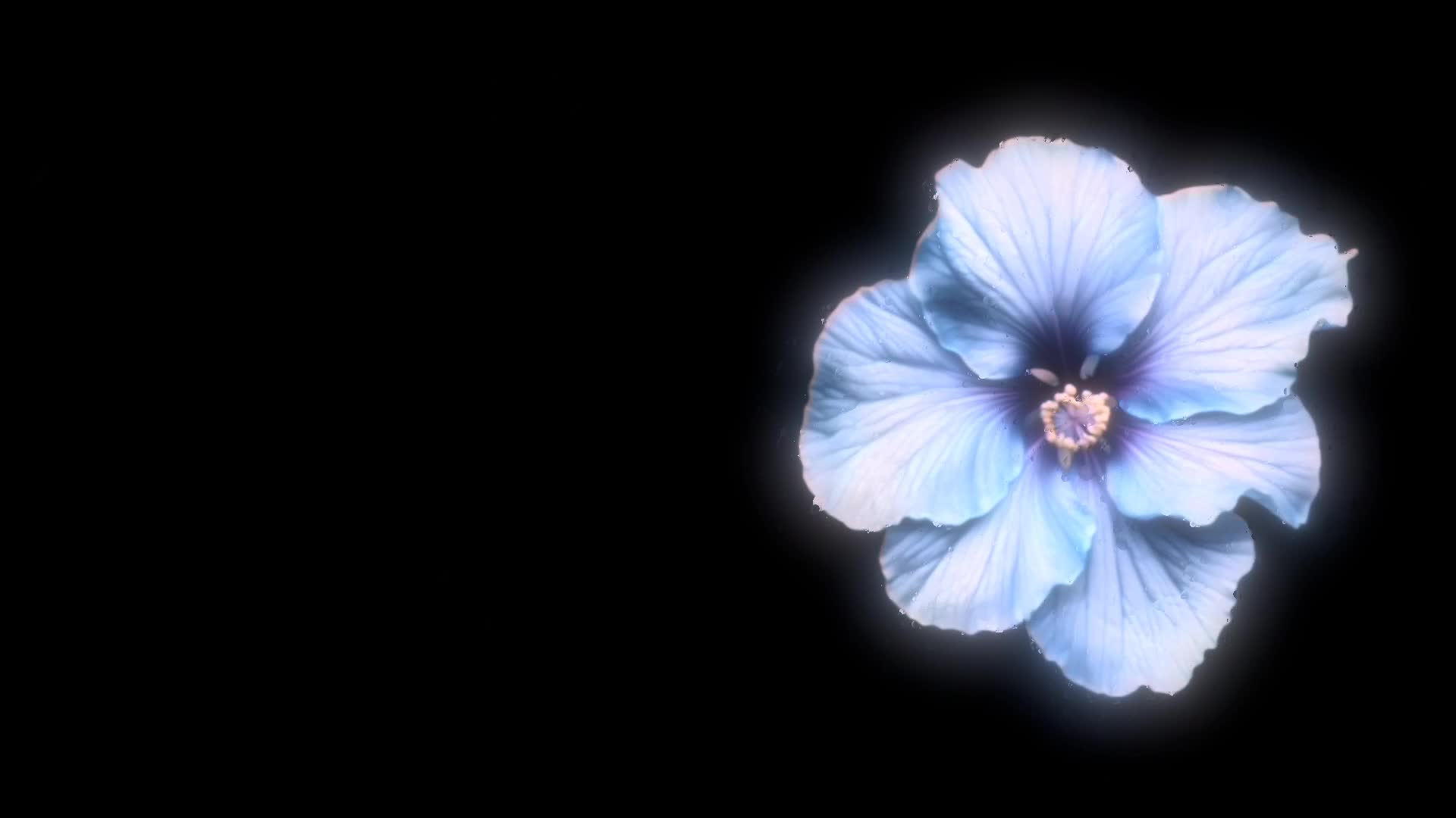 @𝐬𝐩𝐞𝐞𝐝 𝐥𝐲𝐫𝐢𝐜𝐬