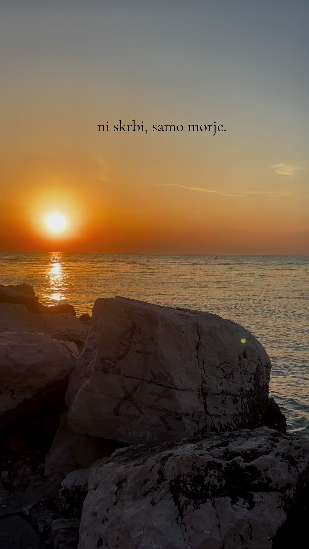 @sandy š.