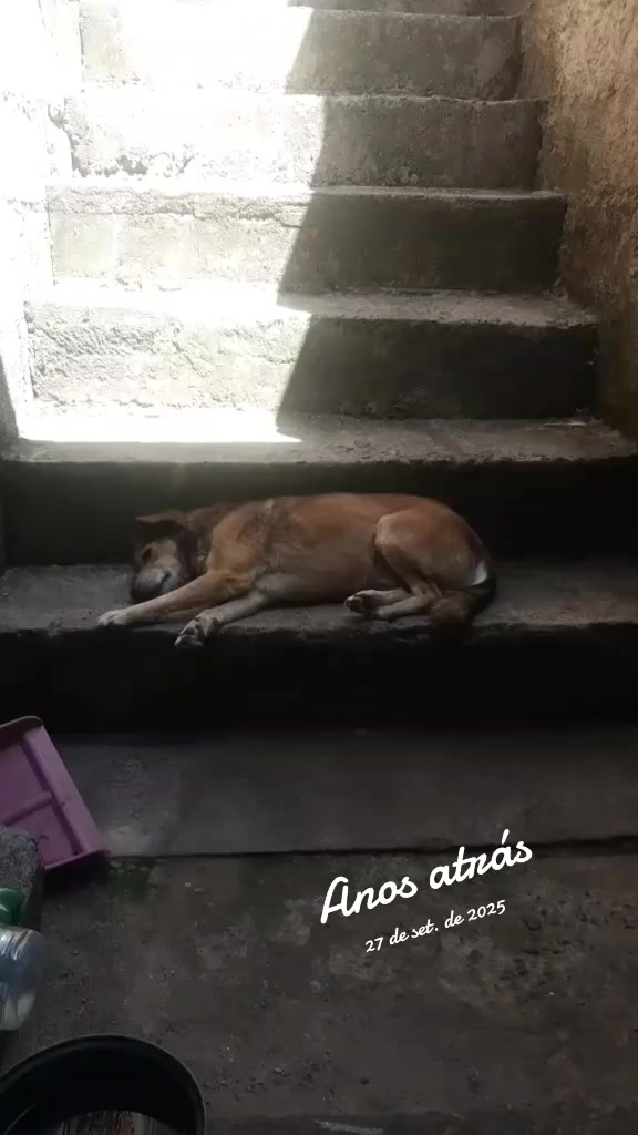 @José Wilson Rodrigues Barbosa
