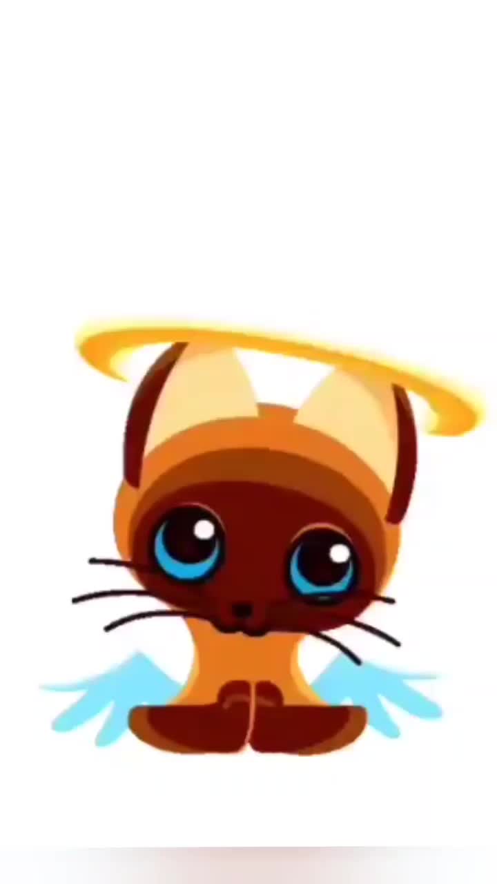 @kitten10333