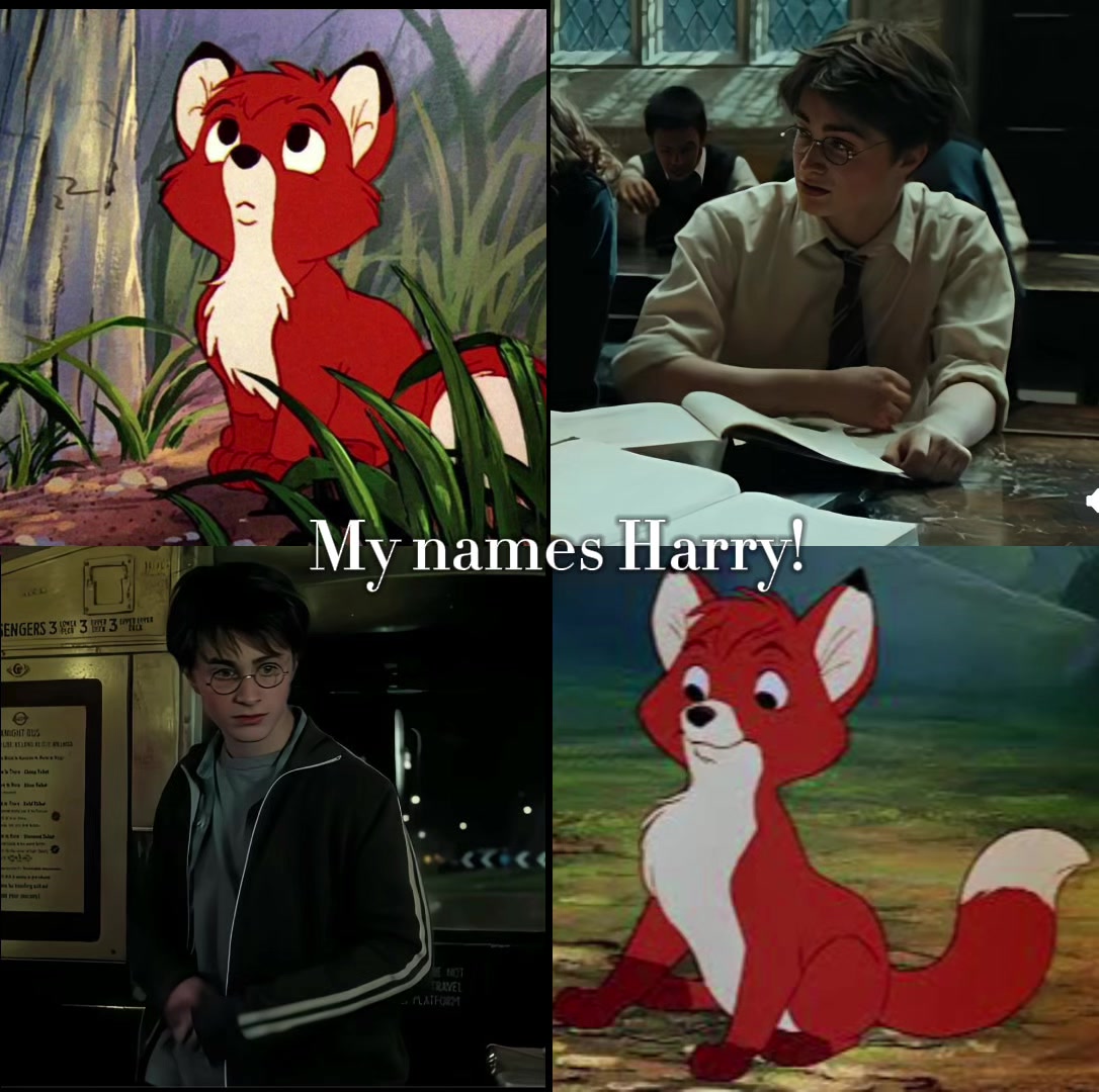 @Drarry ⚯͛ 💚❤️ (multifandom)