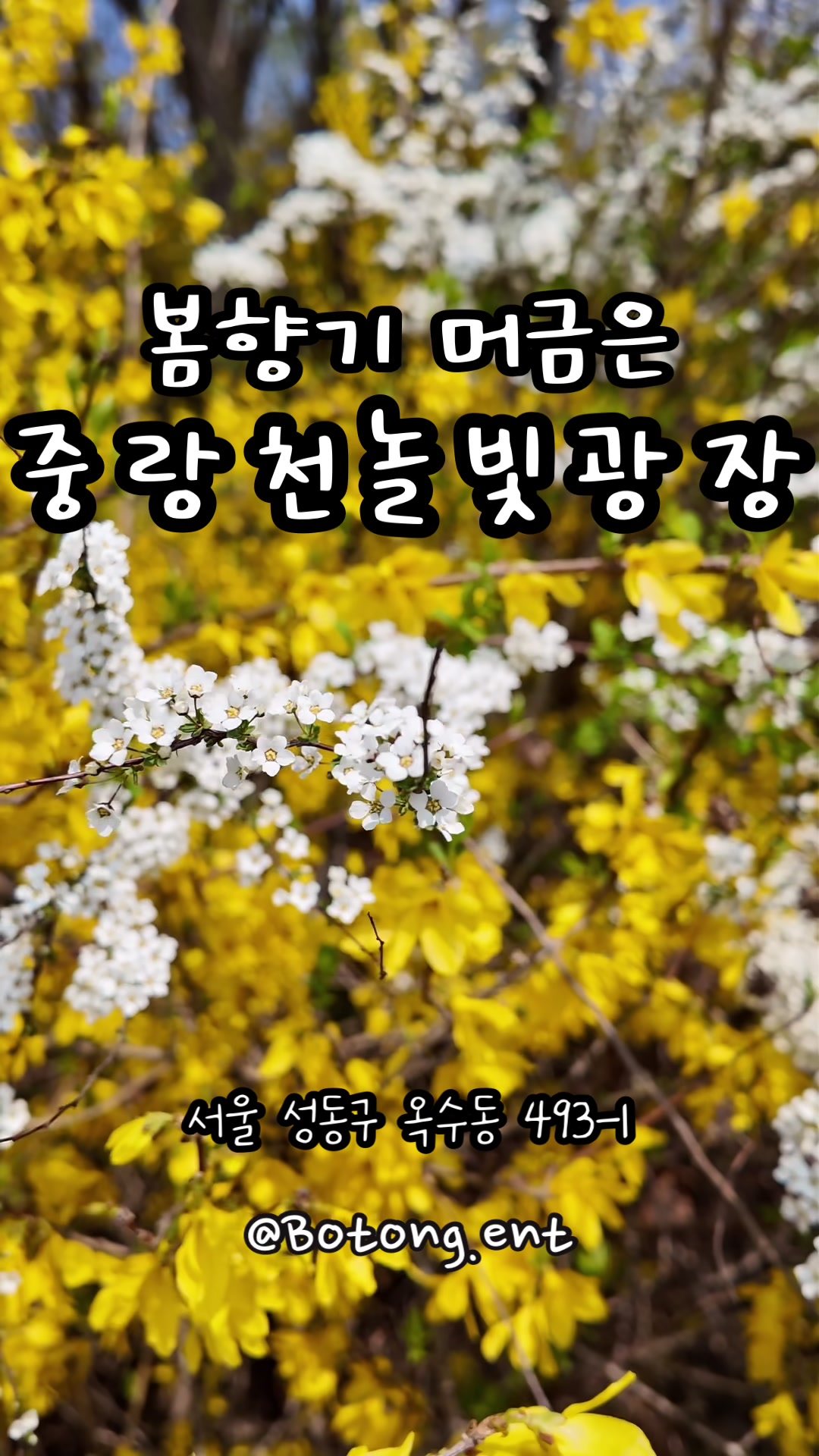 @botong.ent