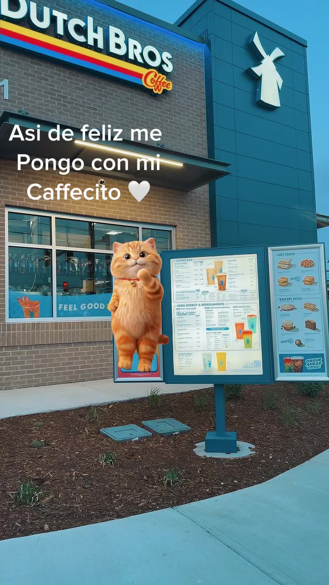 @denyse.torres