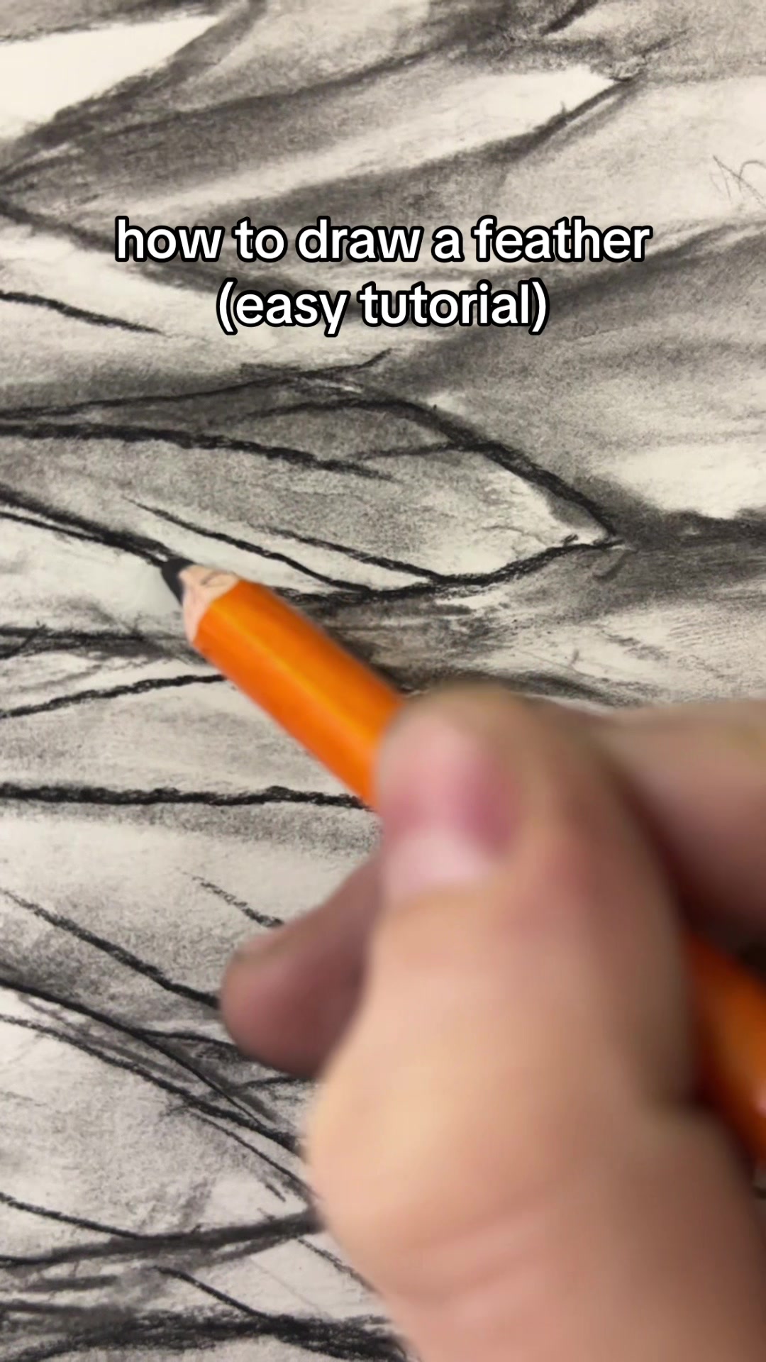 @sarah 🪲