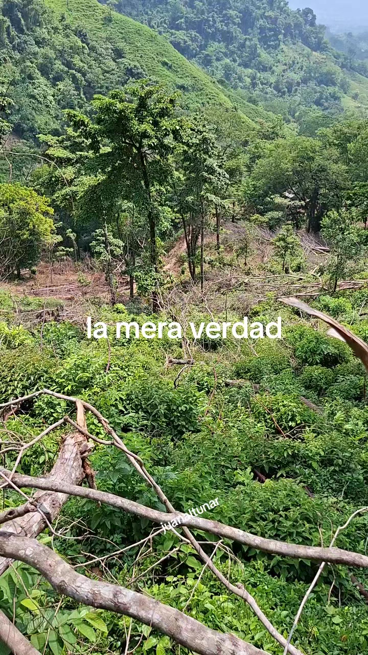 @Juan Altunar